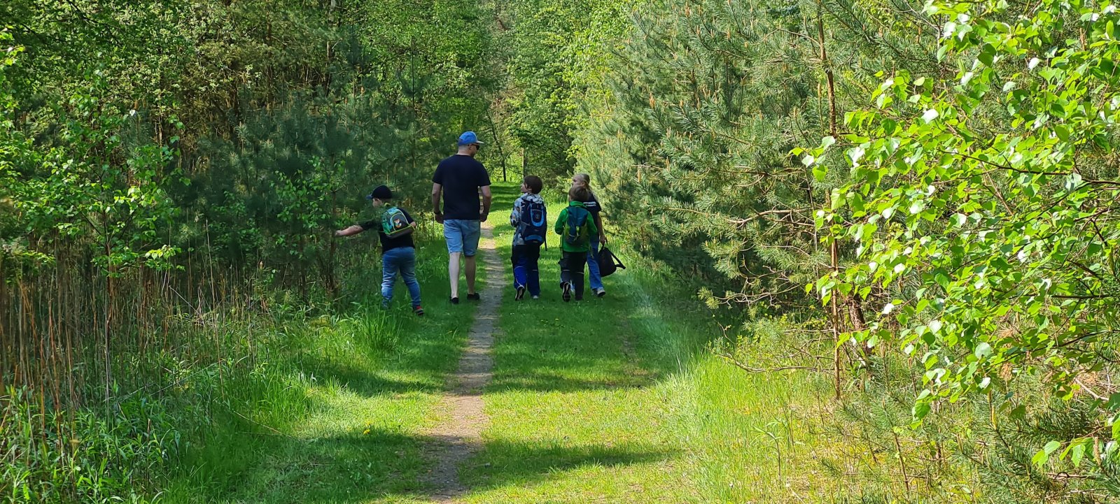 Wanderung durch den Wald